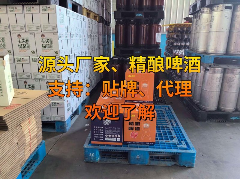 喝出味蕾的盛宴——鲜啤新潮流